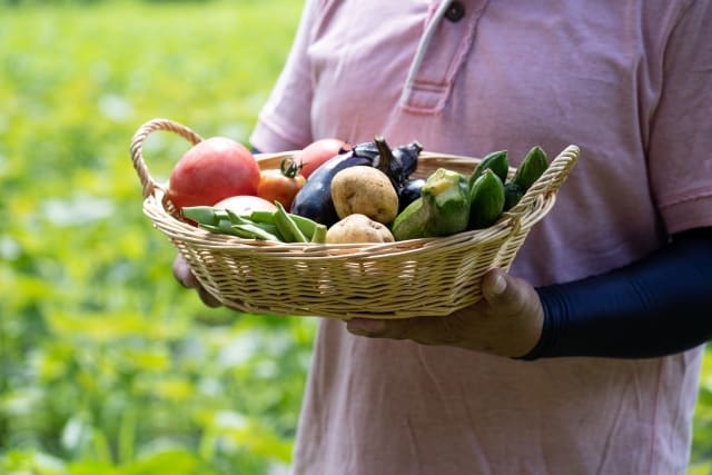 現場の熱中症・夏バテ対策向けの食べ物とは？原因や栄養素についても解説