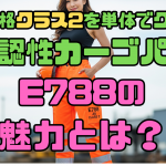 JIS規格クラス2を単体でクリア！高視認性カーゴパンツE788の魅力とは？