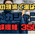 アサヒチョウ3500ドカジャン