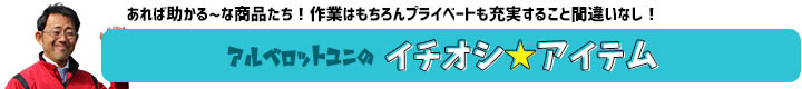 あれば助かる！アルベロットユニのイチオシアイテム